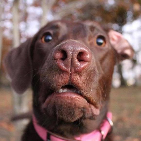 Meet your Posher, Jessica - Picture 1 of 1